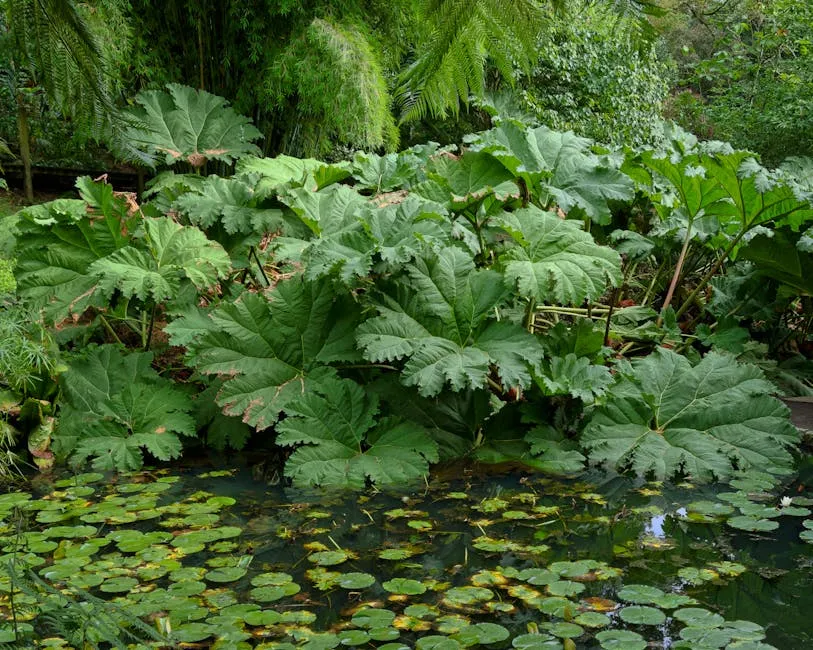 Gartenteich mit solarbetriebener Pumpe