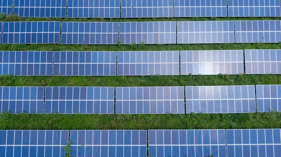 Solarmodule aus der Vogelperspektive im Frühling