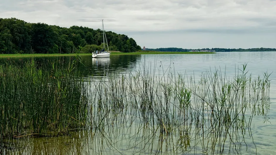 Ruhige Szene eines Segelboots, das auf einem ruhigen See vor Anker liegt, umgeben von üppigem Grün und Schilf.