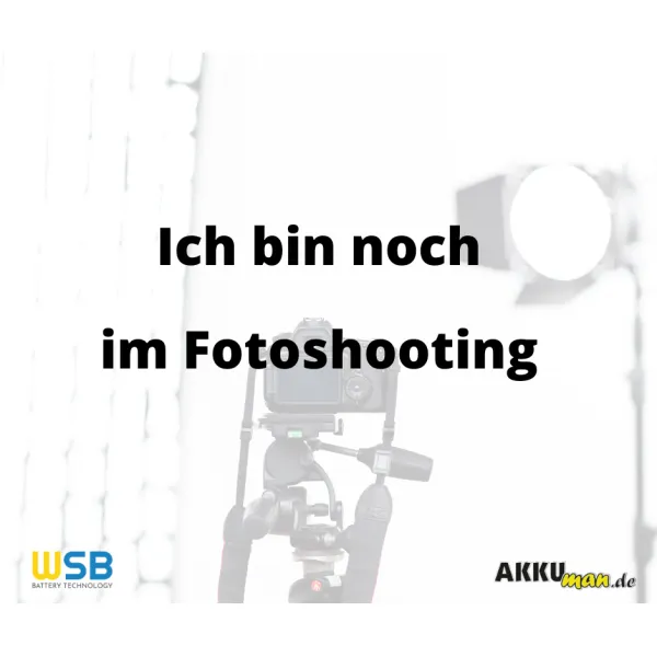 1800 Wp GartenPV System - 4×450 W Full Black Module + Wattstone 15° Flachdachaufständerung mit 0% Mwst. nach §12 Abs. 3 UstG